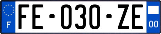 FE-030-ZE