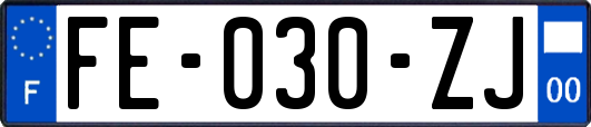 FE-030-ZJ