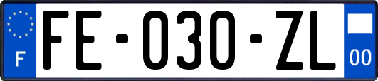 FE-030-ZL