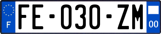 FE-030-ZM