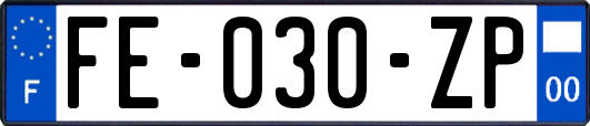 FE-030-ZP