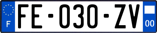 FE-030-ZV