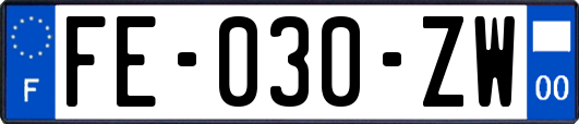 FE-030-ZW