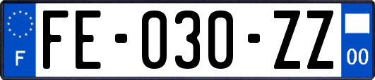 FE-030-ZZ