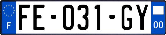 FE-031-GY