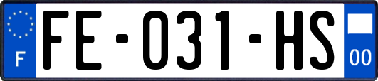 FE-031-HS