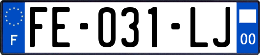 FE-031-LJ