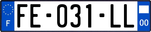 FE-031-LL