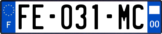 FE-031-MC