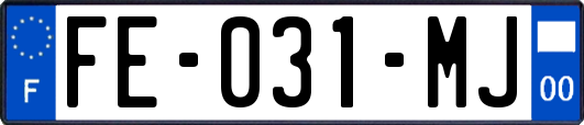 FE-031-MJ