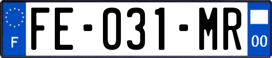 FE-031-MR