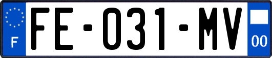 FE-031-MV