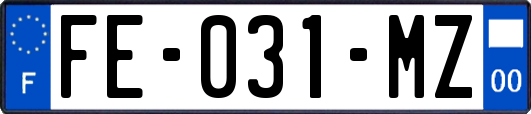 FE-031-MZ