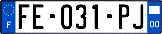 FE-031-PJ