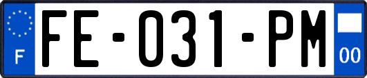 FE-031-PM