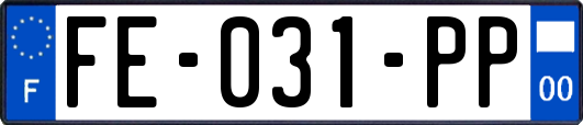 FE-031-PP
