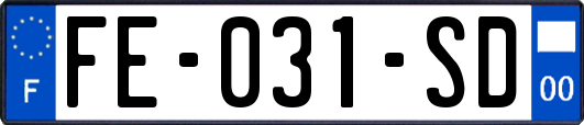 FE-031-SD