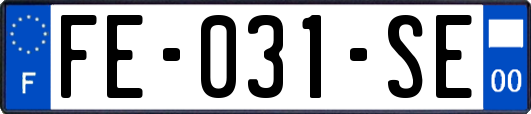 FE-031-SE