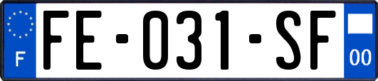 FE-031-SF
