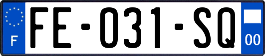 FE-031-SQ