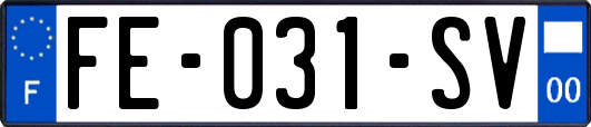 FE-031-SV