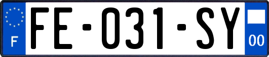 FE-031-SY
