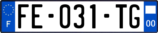 FE-031-TG