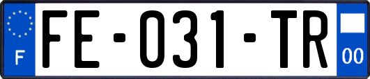 FE-031-TR