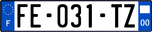 FE-031-TZ