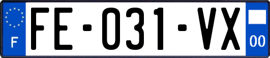 FE-031-VX