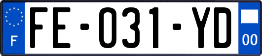 FE-031-YD
