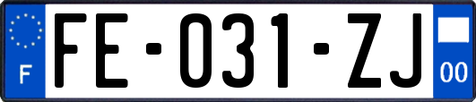 FE-031-ZJ