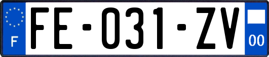 FE-031-ZV