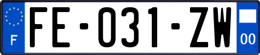 FE-031-ZW