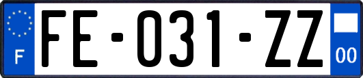 FE-031-ZZ