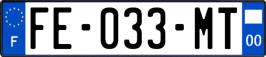 FE-033-MT