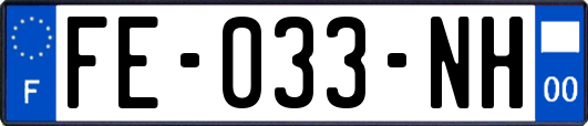 FE-033-NH
