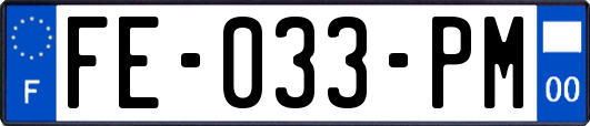 FE-033-PM