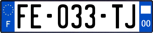 FE-033-TJ