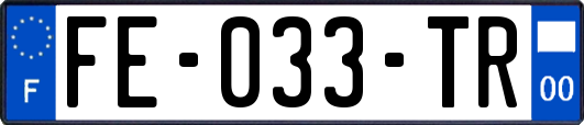 FE-033-TR