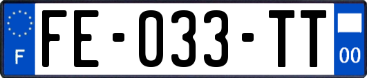 FE-033-TT