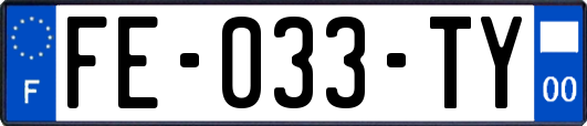 FE-033-TY
