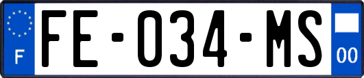 FE-034-MS