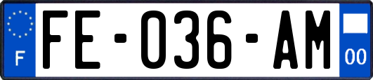 FE-036-AM