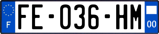 FE-036-HM