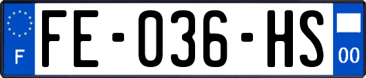 FE-036-HS