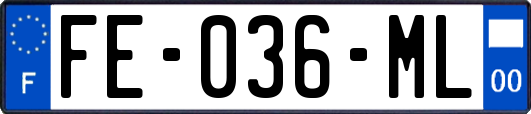 FE-036-ML