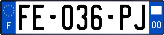 FE-036-PJ
