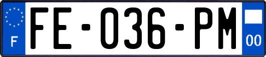 FE-036-PM