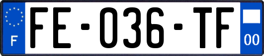 FE-036-TF
